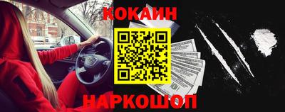 шишки Славгород