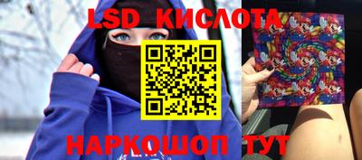 шишки Славгород